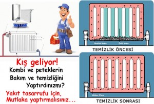 petek-temizliği